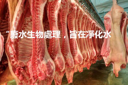 “廢水生物處理，旨在凈化水源，守護(hù)碧水藍(lán)天”